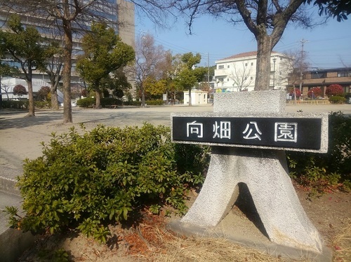 大府の公園_7.jpg