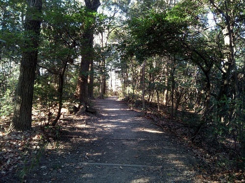 東公園_17.jpg