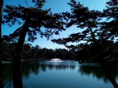 東公園_4.jpg