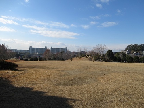 IMG_4137.JPG