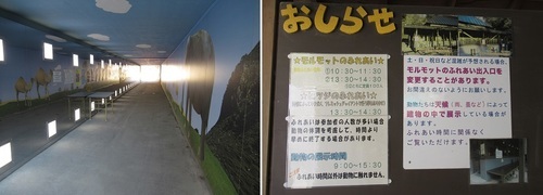 IMG_4488.JPG